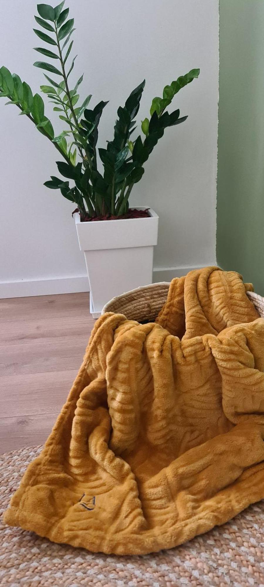 Апартаменты La Comfy Ap